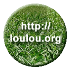 http://www.loulou.org/